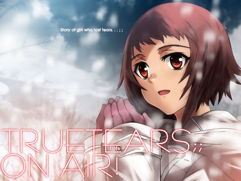 真实之泪(true+tears)