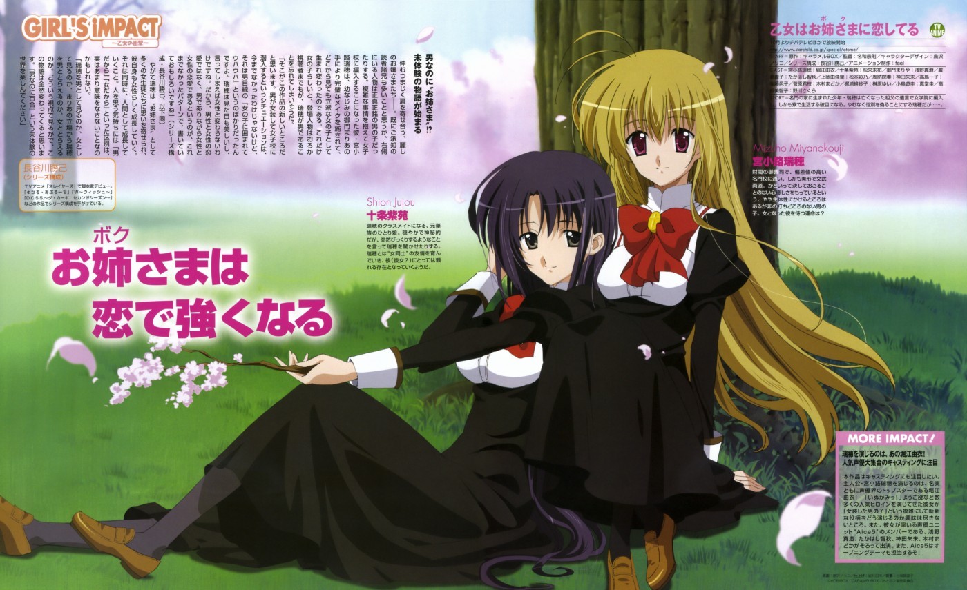 <em>少女爱上</em>姐姐