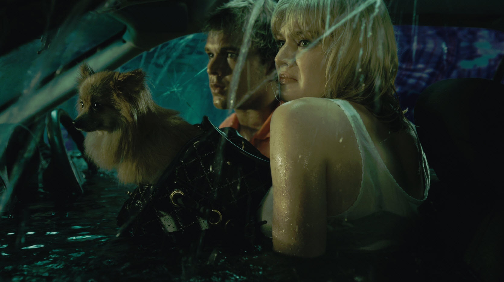 <em>大海啸之鲨口逃生</em>(bait)