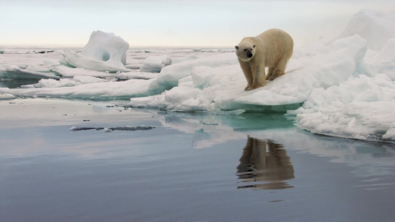 冰冻星球_冰冻星球电影_冰冻星球纪录片 | krystal