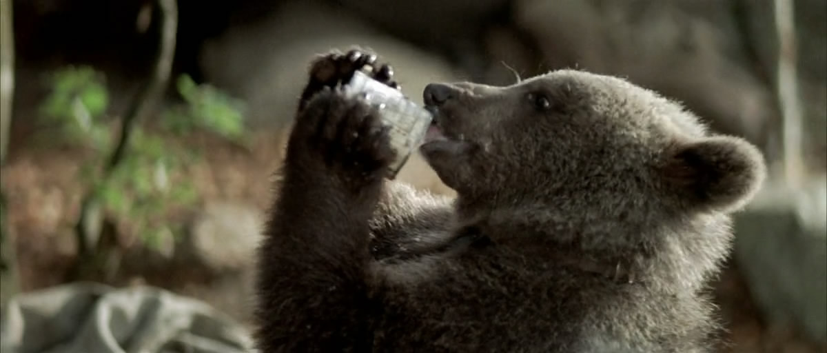 类似子熊故事的电影图片_类似子熊故事的电影