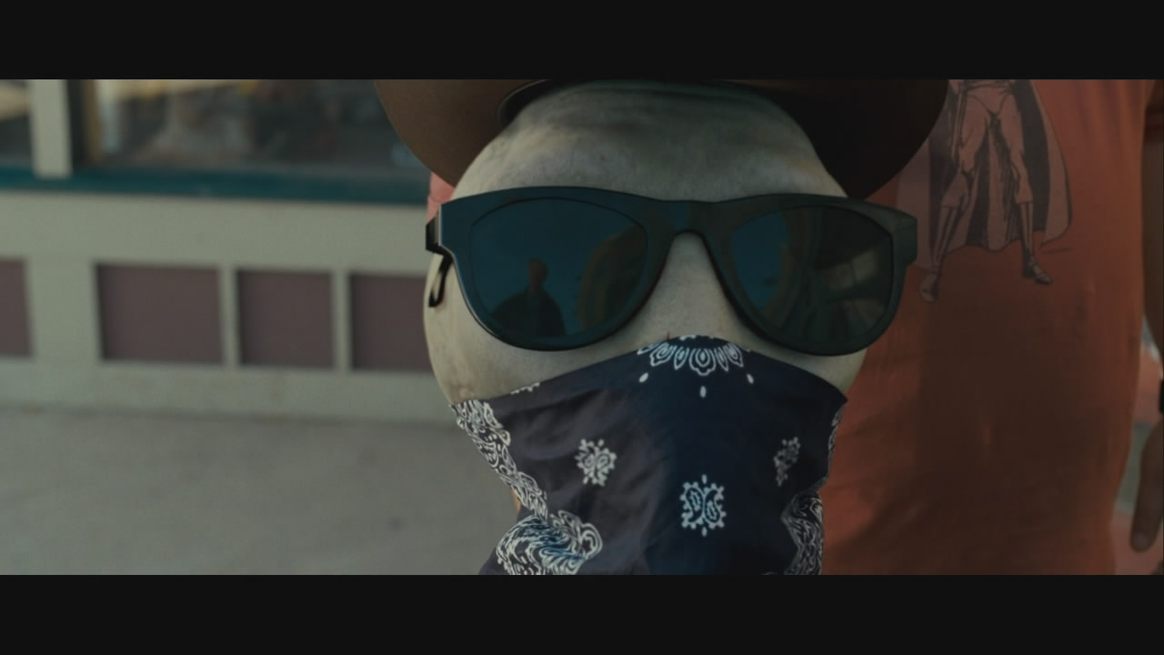 外星人保罗(paul)+-+电影图片