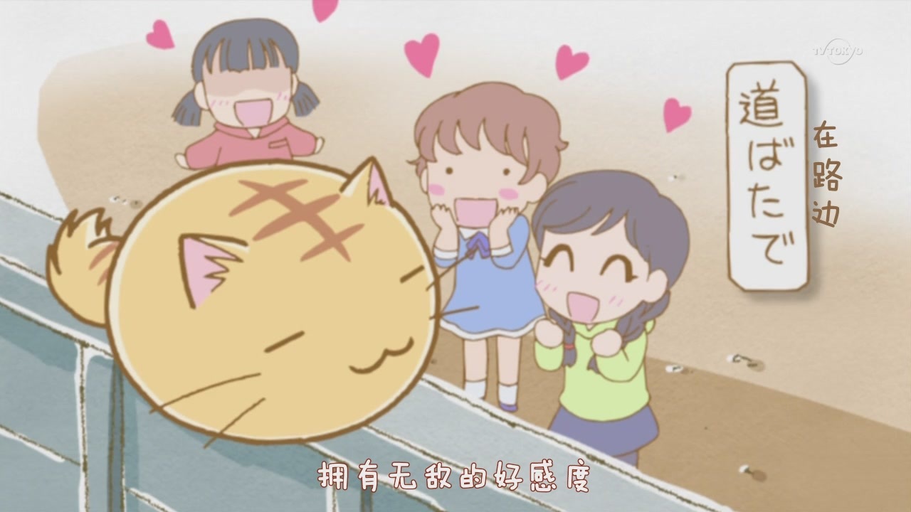 嘟嘟猫观察日记