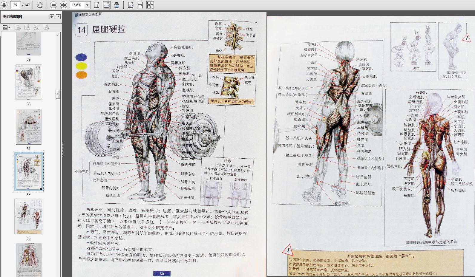 《肌肉健美训练图解(最新版)—健身三剑客》史上唯一的绝无仅有的健身