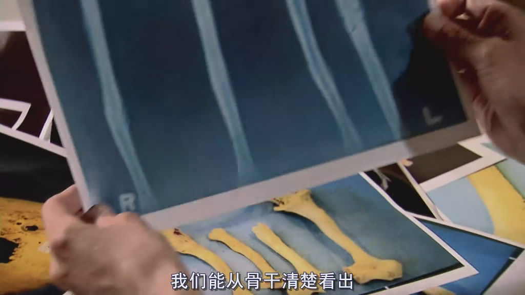 古埃及十大发现图片