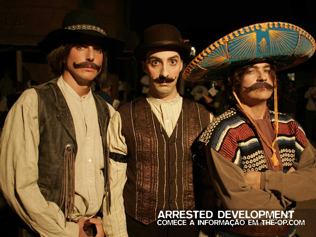 arrested,nabbed 发展受阻 第二季(arrested development season 2)