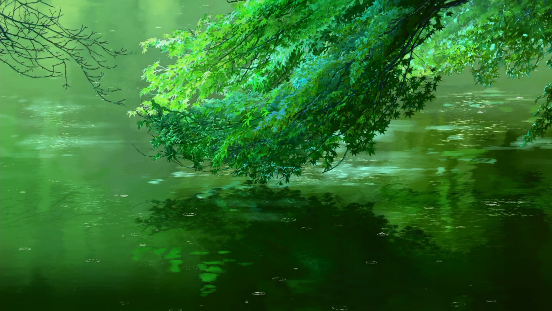 摔跤狂热28