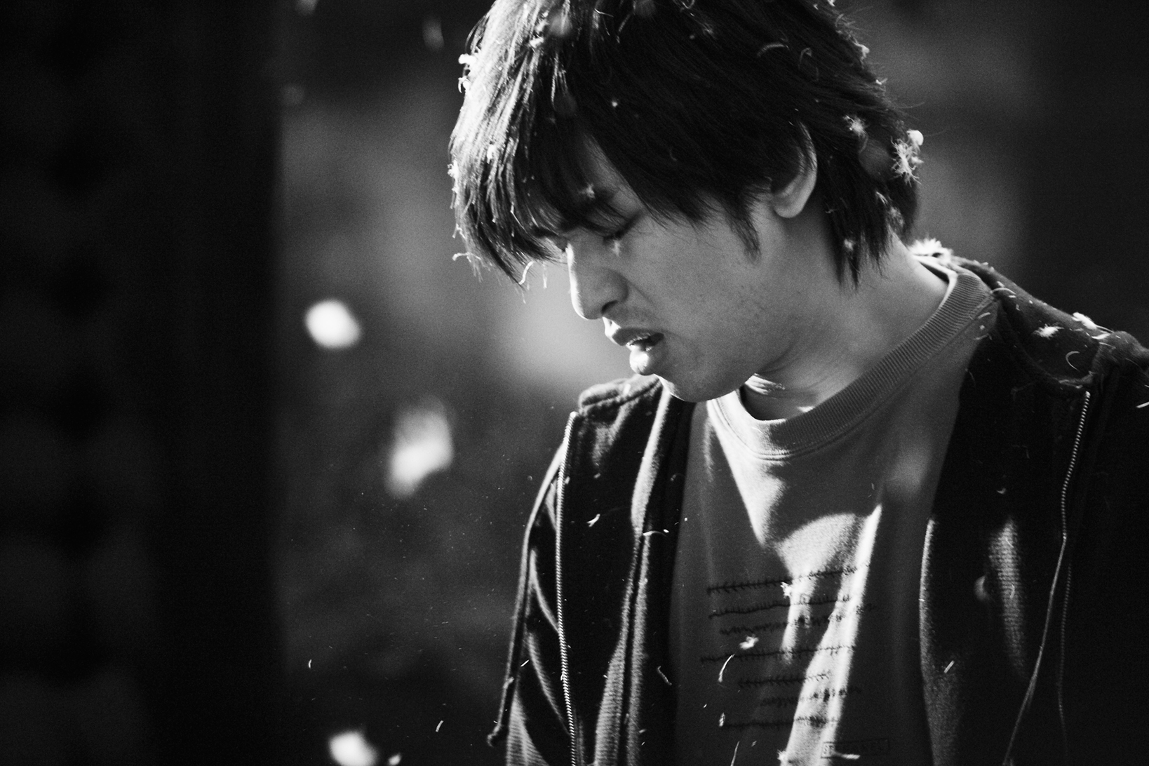  台北飘雪插曲 _台北飘雪_台北飘雪中的插曲 | 流