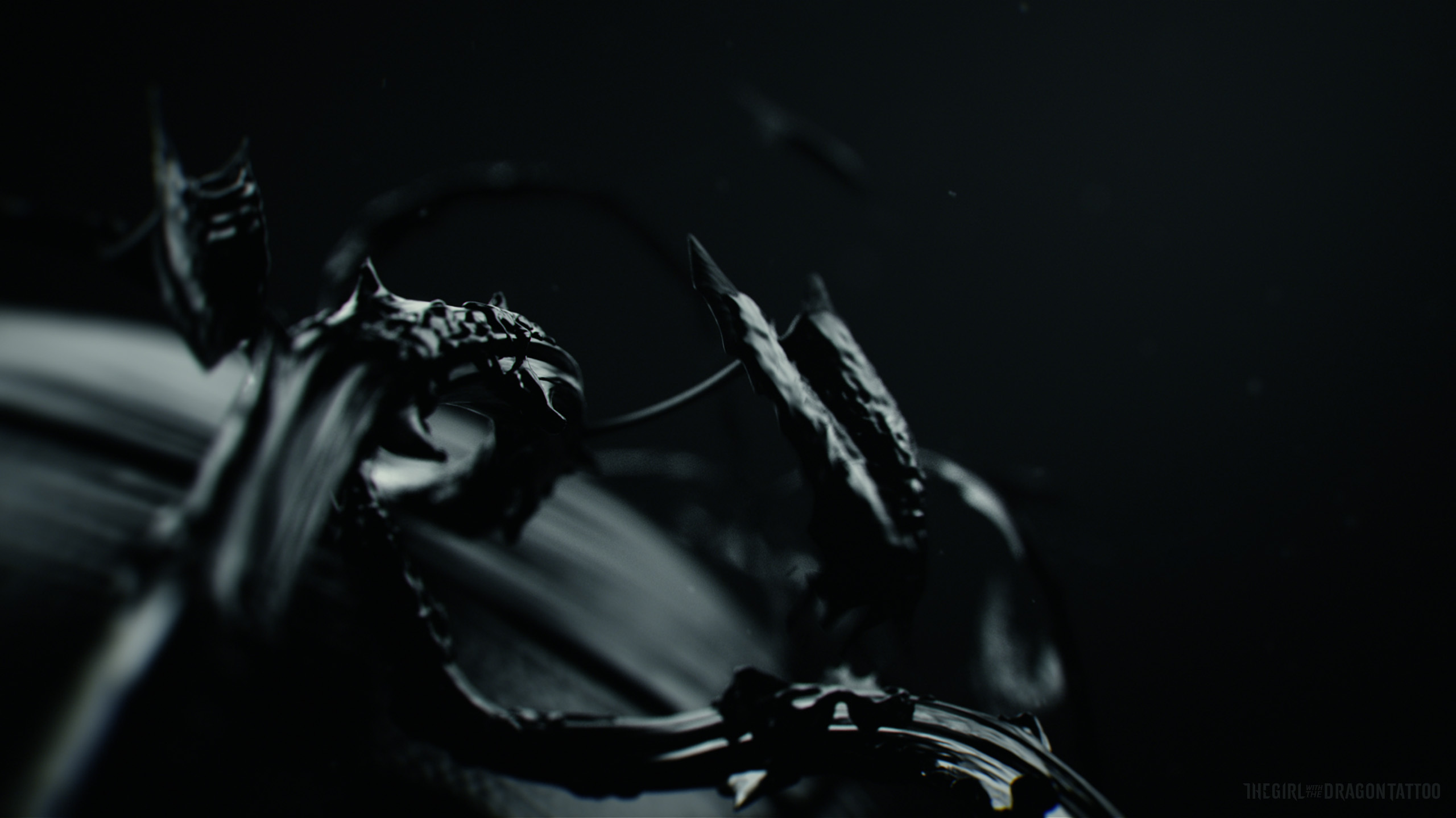 龙纹身的女孩一共几部