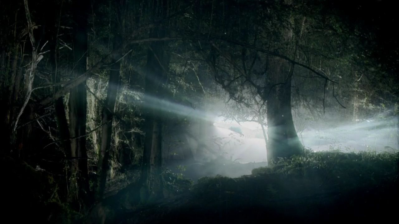 神秘博士第五季演员