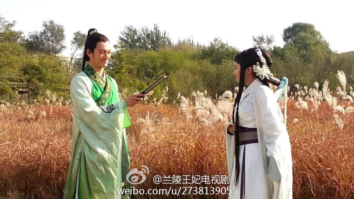 兰陵王妃 - 电视剧图片图片