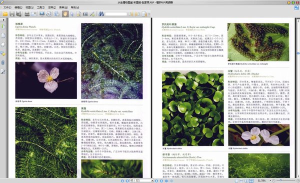 《水生植物图鉴·彩图版》扫描版[pdf]