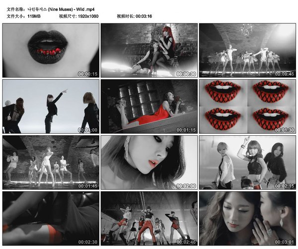 (nine muses) -《wild》迷你专辑(附mv)[mp3 flac]