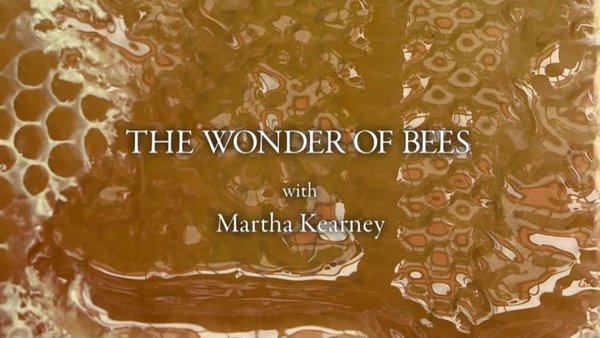 bbc:玛莎·卡妮领略神奇的蜜蜂(bbc: the wonder of bees with martha
