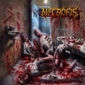 Necrosis -《Catatonic Psychosis》[MP3]