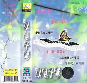 正视唱片 -《双电子琴②-梅兰梅兰我爱你》[FLAC]