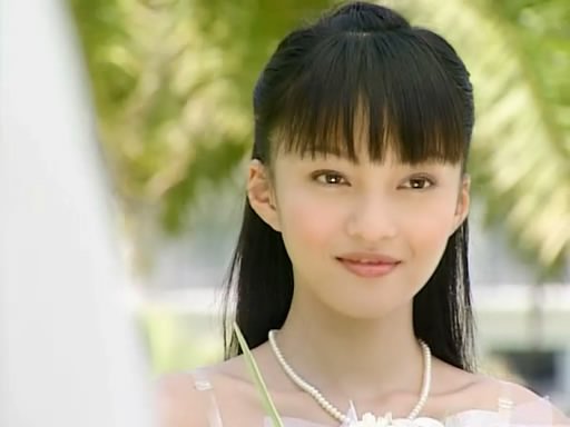 海豚湾恋人里的小演员表