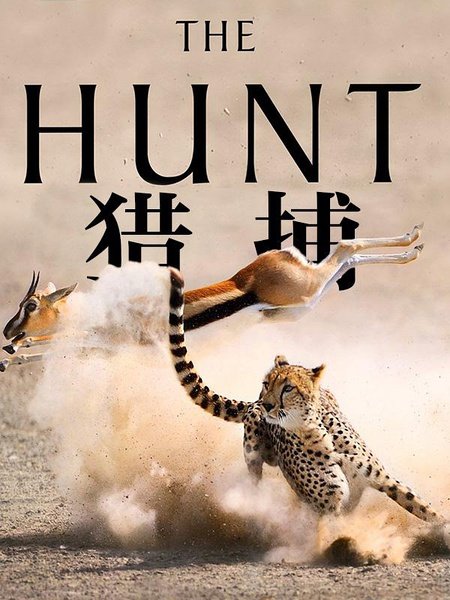 bbc:猎捕 (the hunt)