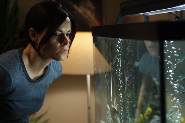 好邻居(good neighbours) - 电影图片 | 电影剧照 | 高清海报