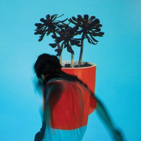 Local Natives -《Sunlit Youth》[MP3]