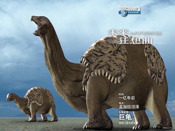 探索频道:未来狂想曲