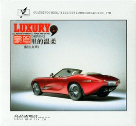 群星 -《豪驾里的温柔·贴心女生》320K[MP3]