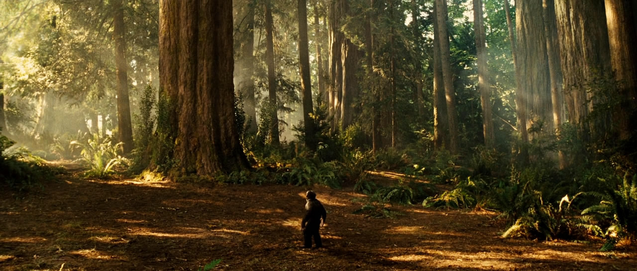 猩球崛起(rise of the planet of the apes) - 电影图片 | 电影剧照