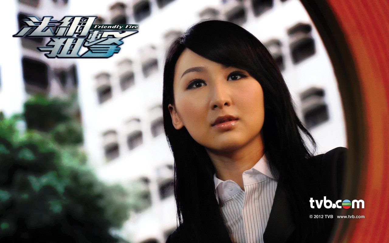 法网狙击(friendly fire) - 电视剧图片 | 电视剧剧照 | 高清海报