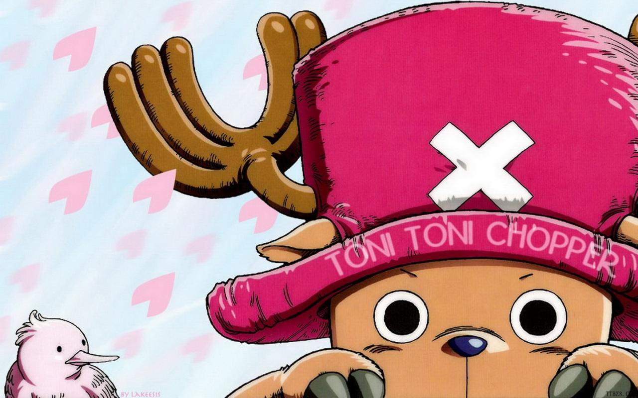 海贼王(one piece) - 动漫图片 | 图片下载 | 动漫壁纸 - verycd电驴