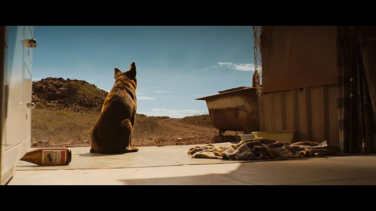 红犬历险记(red dog) - 电影图片 | 电影剧照 | 高清海报 - verycd