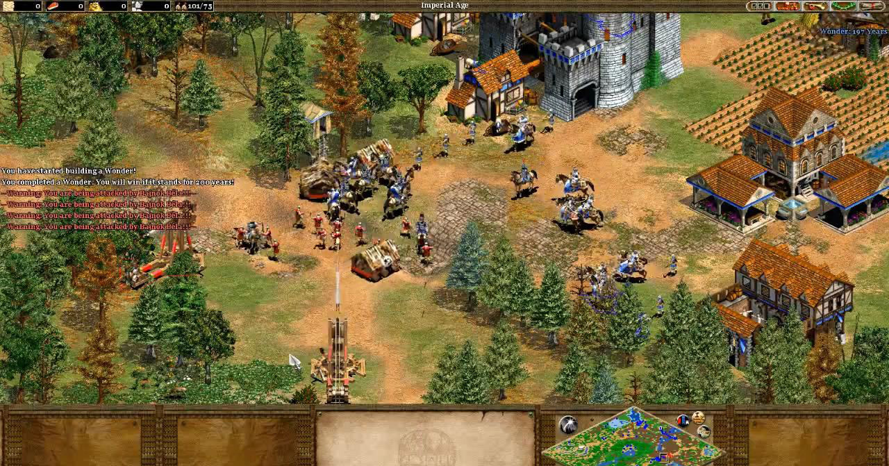 帝国时代2:被遗忘的帝国