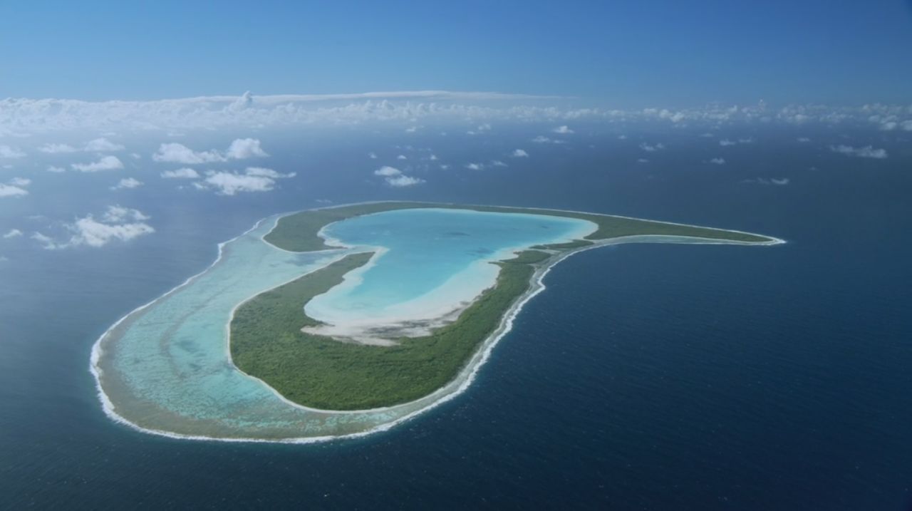 bbc:南太平洋(bbc south pacific)